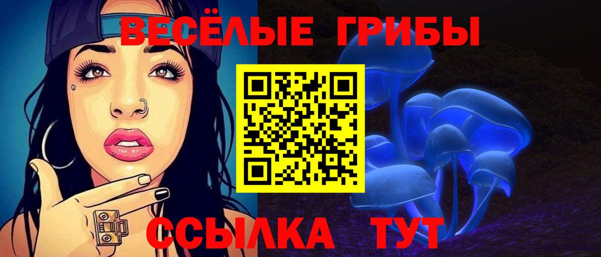 Псилоцибиновые грибы Psilocybine cubensis Сочи