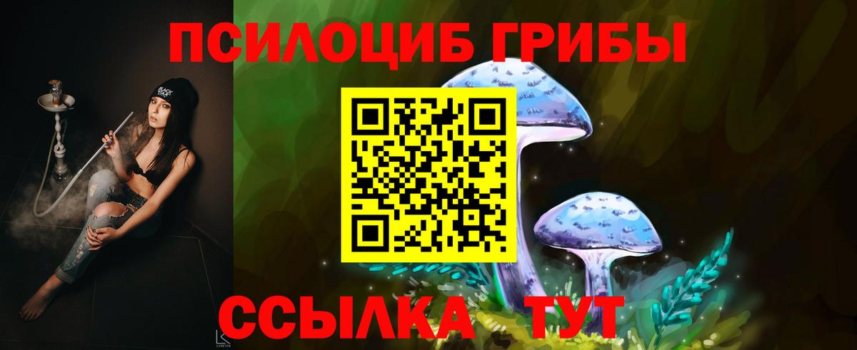Сочи  Псилоцибиновые грибы Magic Shrooms  где можно купить   Вход с VPN  Галлюциногенные грибы GOLDEN TEACHER 